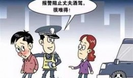 妻子爆料丈夫酒驾视频,视频引发网友热议