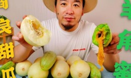 去哪里吃网红瓜好吃一点,一网打尽美味瓜果盛宴