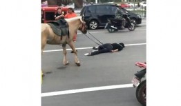 网红骑马爆料视频大全集,揭秘马背上的精彩瞬间