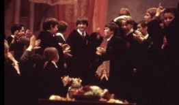 哈利玫瑰爆料视频大全,视频大全揭秘幕后真相