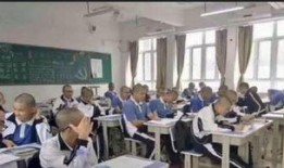 平乡学校事件爆料最新,揭开校园暴力背后的真相与反思